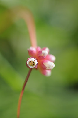 BUITEN BEELD Foto: 40344