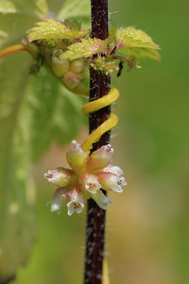 BUITEN BEELD Foto: 40345
