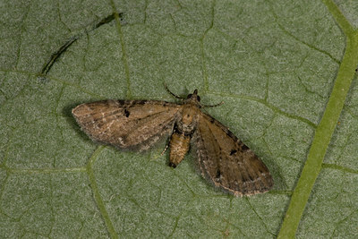 BUITEN BEELD Foto: 40433