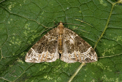 BUITEN BEELD Foto: 40440