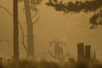 BUITEN BEELD Foto: 40557