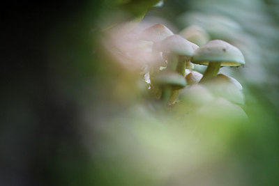 BUITEN BEELD Foto: 40562