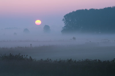 BUITEN BEELD Foto: 40563