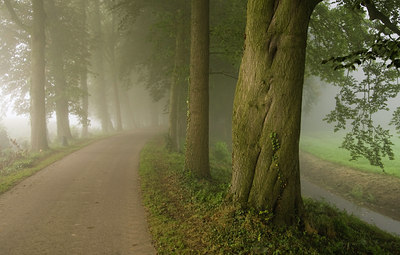 BUITEN BEELD Foto: 40574