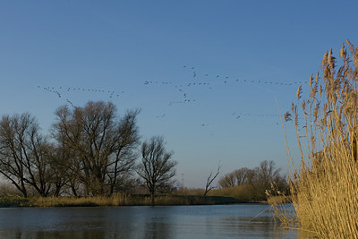 BUITEN BEELD Foto: 40729