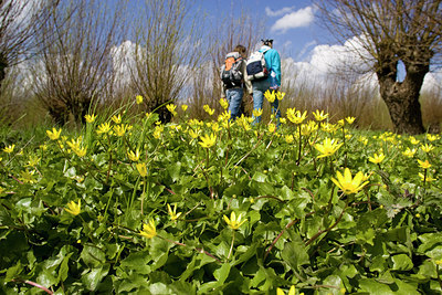 BUITEN BEELD Foto: 40748