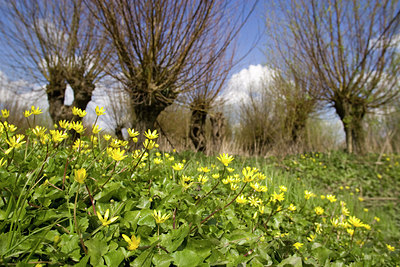 BUITEN BEELD Foto: 40750