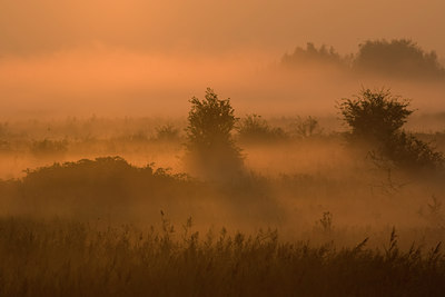 BUITEN BEELD Foto: 40769