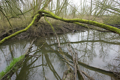 BUITEN BEELD Foto: 40799