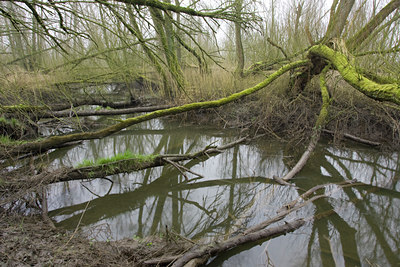 BUITEN BEELD Foto: 40800