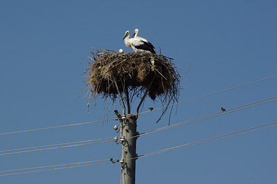BUITEN BEELD Foto: 40803