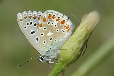 BUITEN BEELD Foto: 40814