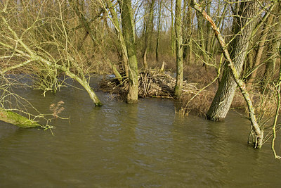 BUITEN BEELD Foto: 40863