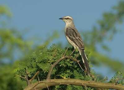 BUITEN BEELD Foto: 40898