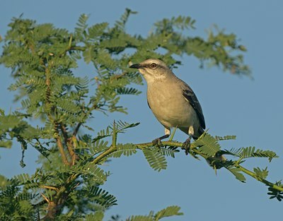 BUITEN BEELD Foto: 40954