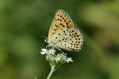 BUITEN BEELD Foto: 40957
