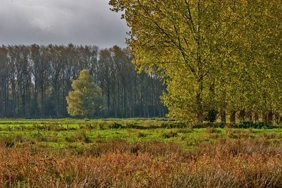 BUITEN BEELD Foto: 40994