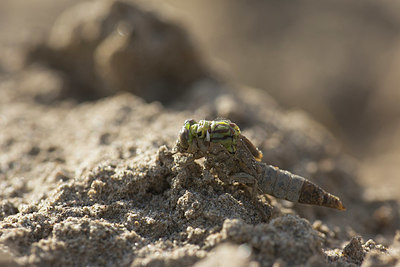 BUITEN BEELD Foto: 409029