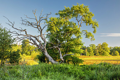 BUITEN BEELD Foto: 409103