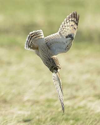 BUITEN BEELD Foto: 409259