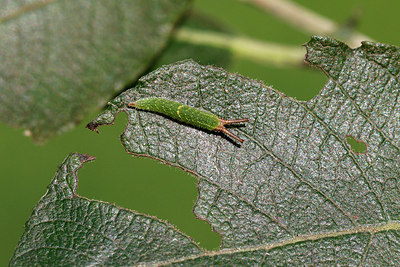 BUITEN BEELD Foto: 409271