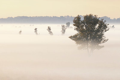 BUITEN BEELD Foto: 409430