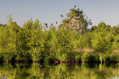 BUITEN BEELD Foto: 409522