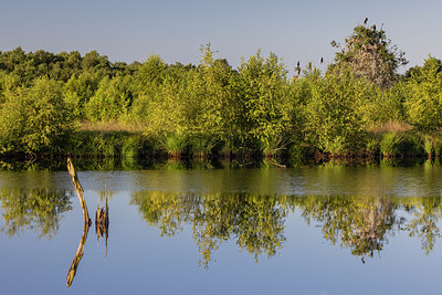 BUITEN BEELD Foto: 409524