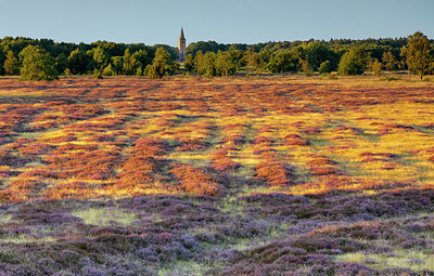 BUITEN BEELD Foto: 409526