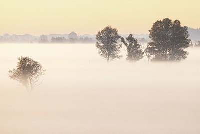 BUITEN BEELD Foto: 409528