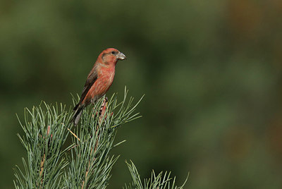 BUITEN BEELD Foto: 409751