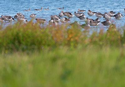 BUITEN BEELD Foto: 409997