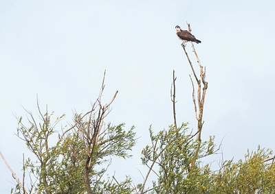 BUITEN BEELD Foto: 410028