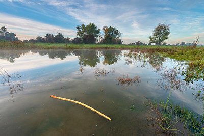 BUITEN BEELD Foto: 410055