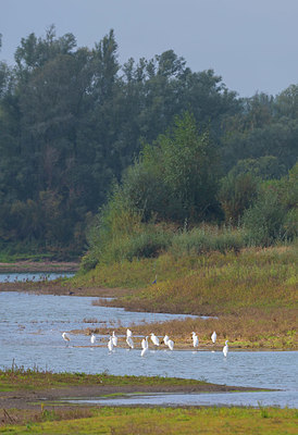 BUITEN BEELD Foto: 410058