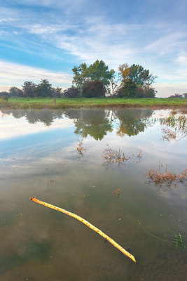 BUITEN BEELD Foto: 410066