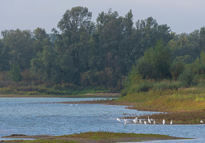 BUITEN BEELD Foto: 410074