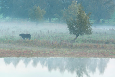 BUITEN BEELD Foto: 410102