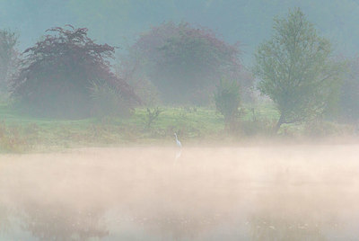 BUITEN BEELD Foto: 410161