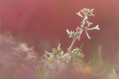 BUITEN BEELD Foto: 410180