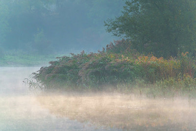 BUITEN BEELD Foto: 410187