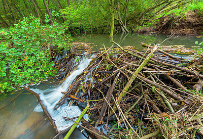 BUITEN BEELD Foto: 410248