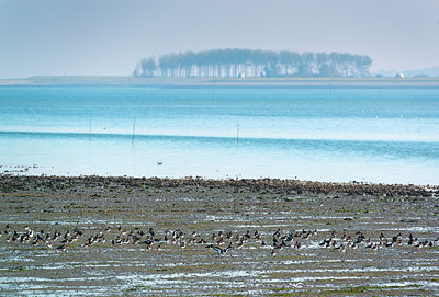 BUITEN BEELD Foto: 410249