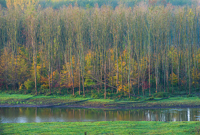 BUITEN BEELD Foto: 410254