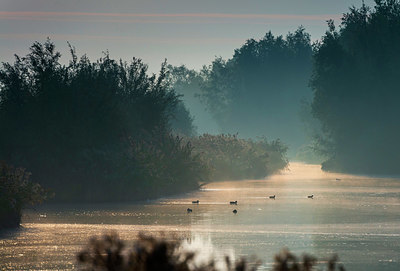 BUITEN BEELD Foto: 410257