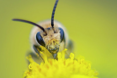 BUITEN BEELD Foto: 410259