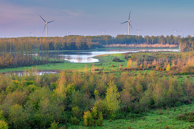 BUITEN BEELD Foto: 410268
