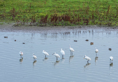 BUITEN BEELD Foto: 410271