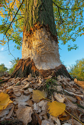 BUITEN BEELD Foto: 410295