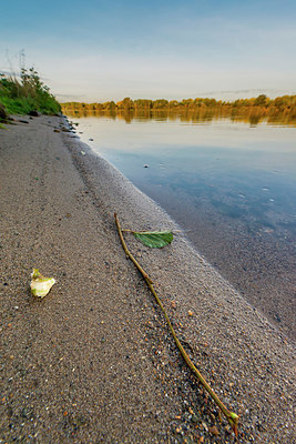 BUITEN BEELD Foto: 410318